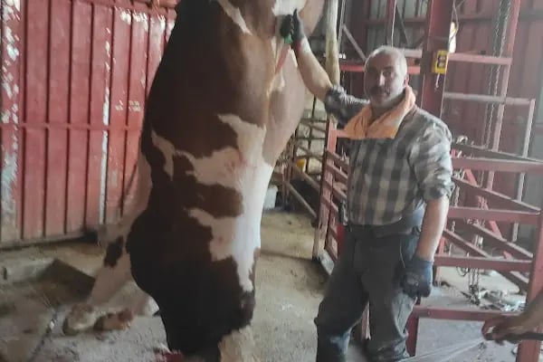 HACI SEYFETTİN BORA BESİ ÇİFTLİĞİ - Resim 19