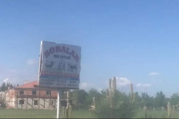 HACI SEYFETTİN BORA BESİ ÇİFTLİĞİ - Resim 6