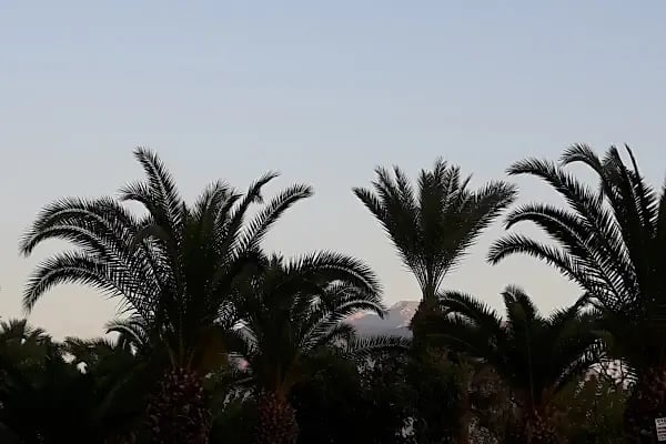 Mola Kavşağı - Resim 5