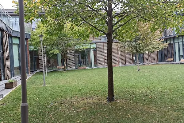 Sosyal Gelişim Merkezi - Resim 13