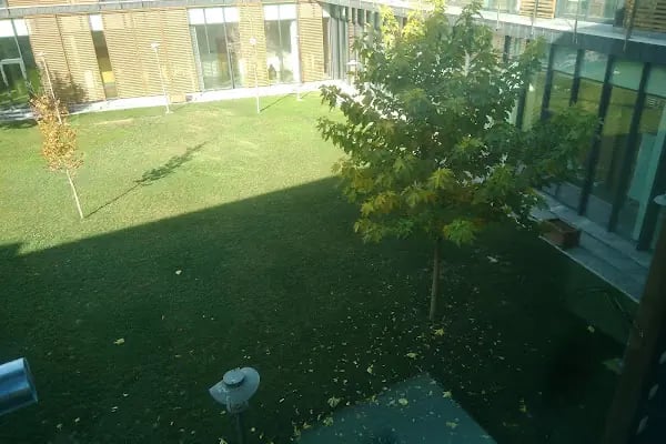 Sosyal Gelişim Merkezi - Resim 16