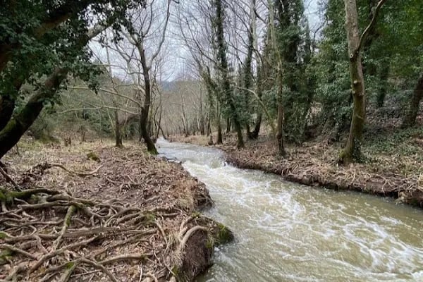 Değirmen Boğazı Mesire Alanı Çocuk Parkı - Resim 9