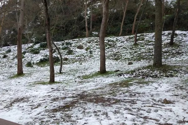 Değirmen Boğazı Mesire Alanı Çocuk Parkı - Resim 17