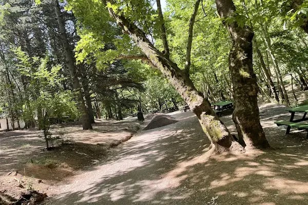 Değirmen Boğazı Mesire Alanı Çocuk Parkı - Resim 8