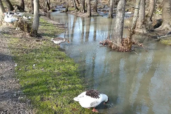 Değirmen Boğazı Mesire Alanı Çocuk Parkı - Resim 7