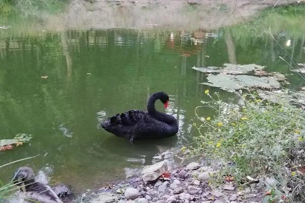 Değirmen Boğazı Mesire Alanı Çocuk Parkı - Resim 15