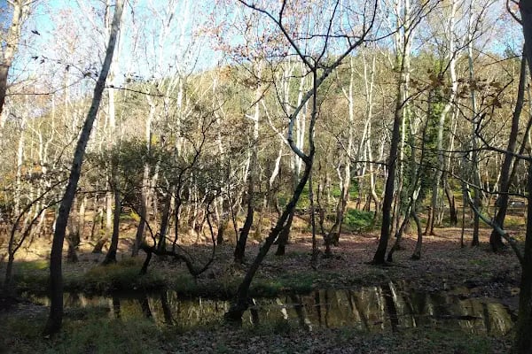 Değirmen Boğazı Mesire Alanı Çocuk Parkı - Resim 10