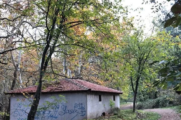 Değirmen Boğazı Mesire Alanı Çocuk Parkı - Resim 20