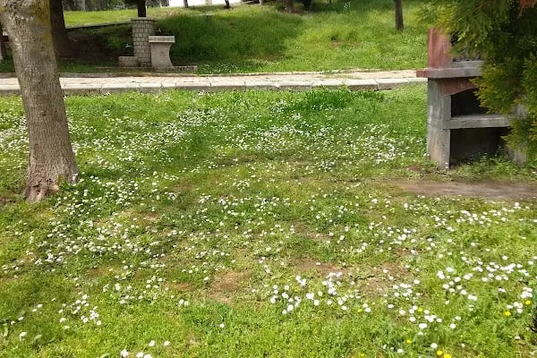 Değirmen Boğazı Mesire Alanı Çocuk Parkı - Resim 18
