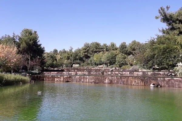 Erikçe Piknik Alanı - Resim 2