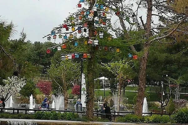 Erikçe Piknik Alanı - Resim 9