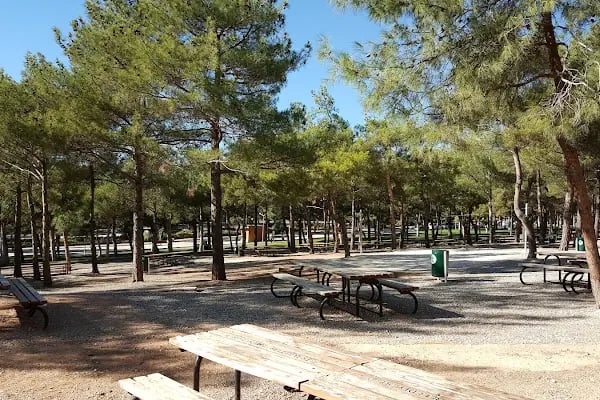 Erikçe Piknik Alanı - Resim 1