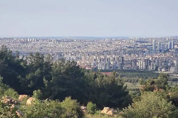 Erikçe Piknik Alanı - Resim 8