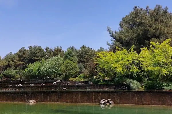 Erikçe Piknik Alanı - Resim 7