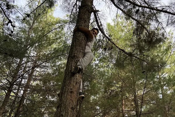 Erikçe Piknik Alanı - Resim 10