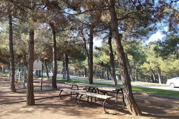 Erikçe Piknik Alanı - Resim 3