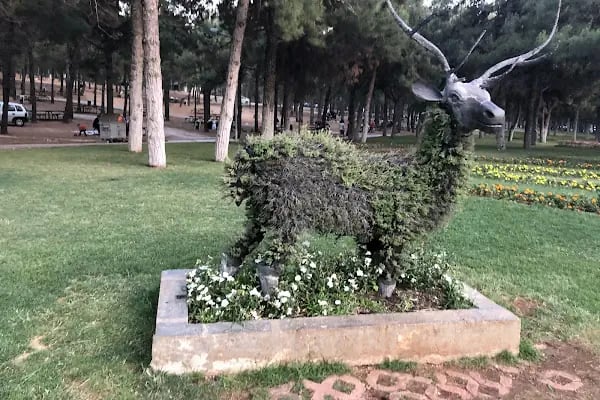 Erikçe Piknik Alanı - Resim 6