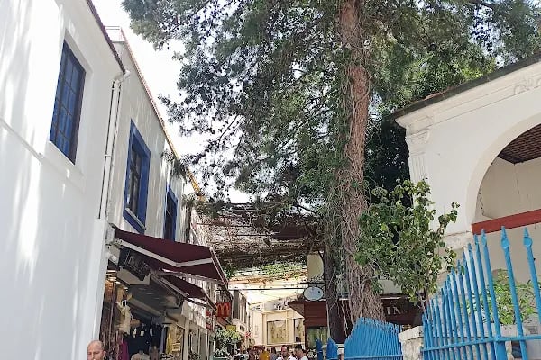 Kızılhisarlı Mustafa Paşa Camii - Resim 7