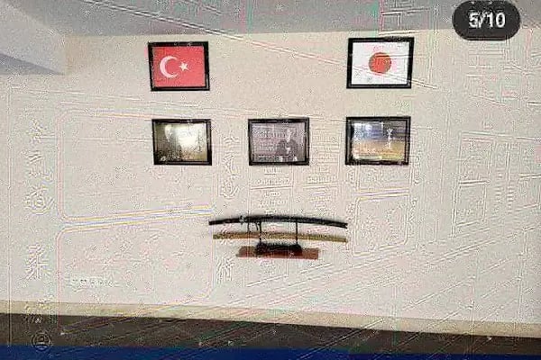 Serkan Yılmaz Uzakdoğu Sporları Merkezi - Resim 9