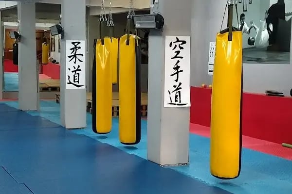 Serkan Yılmaz Uzakdoğu Sporları Merkezi - Resim 14