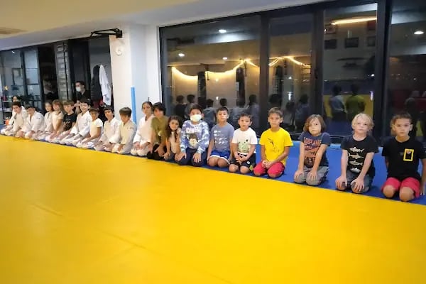 Serkan Yılmaz Uzakdoğu Sporları Merkezi - Resim 4
