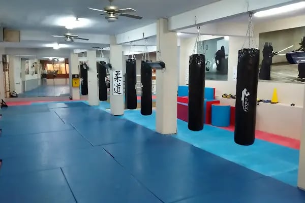 Serkan Yılmaz Uzakdoğu Sporları Merkezi - Resim 2