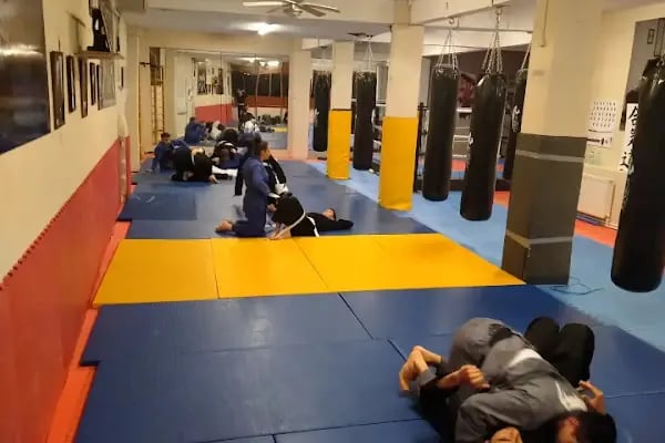 Serkan Yılmaz Uzakdoğu Sporları Merkezi - Resim 17