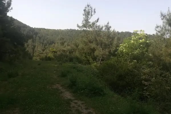 Dokuz Eylül Üniversitesi - Resim 19