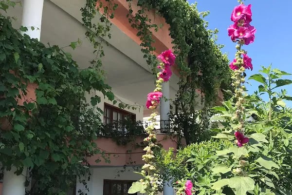 Enez Balcı Motel - Resim 12