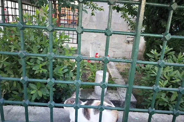 Ekmekçi Baba Türbesi - Resim 5