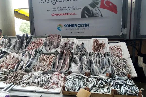 Gülen Yüzler Semt Kreşi Yurt-1 - Resim 7