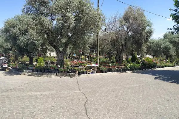 KAFKAS AILE ÇAY BAHÇESI - Resim 18
