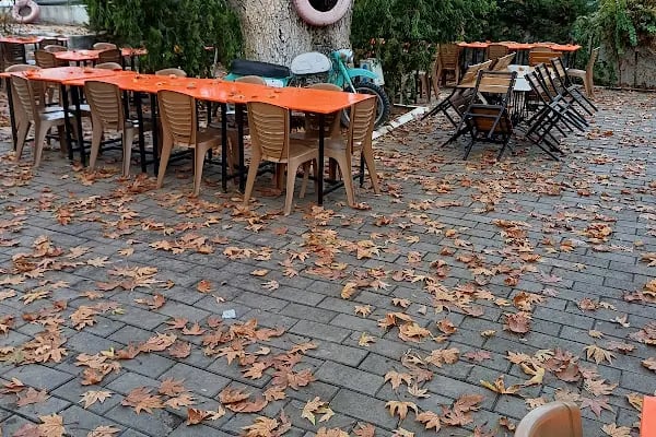 KAFKAS AILE ÇAY BAHÇESI - Resim 2
