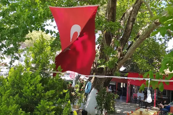 KAFKAS AILE ÇAY BAHÇESI - Resim 7