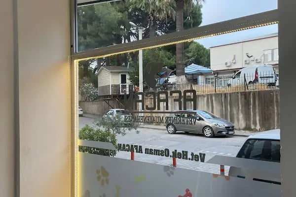 Edremit Afacan Veteriner Kliniği - Resim 10