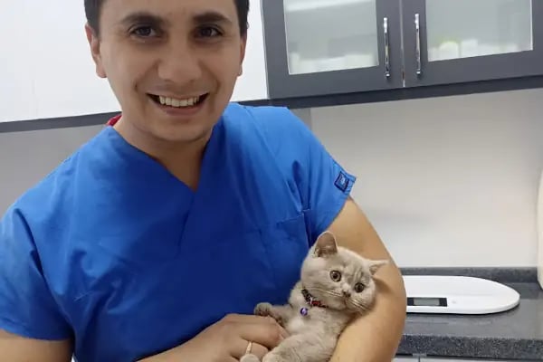 Edremit Afacan Veteriner Kliniği - Resim 17