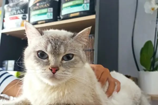 Edremit Afacan Veteriner Kliniği - Resim 6