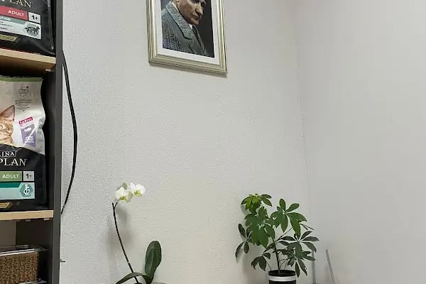 Edremit Afacan Veteriner Kliniği - Resim 15