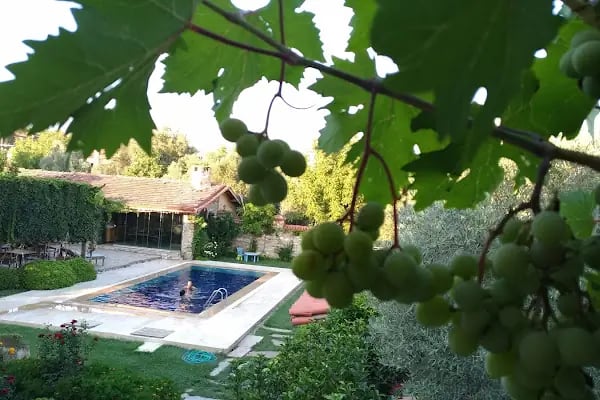 Anatolia Hotel ( Geyre Karacasu Afrodisias ) - Resim 18