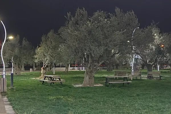 Zeytin Park - Resim 17