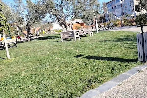 Zeytin Park - Resim 2