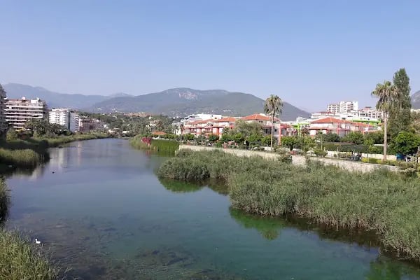 Green Life Hotel - Resim 18