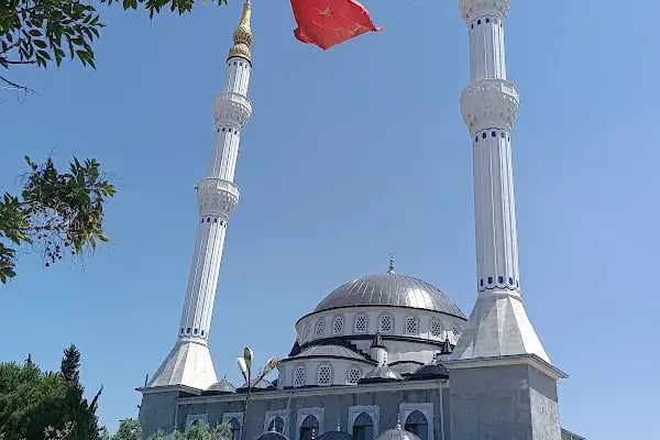 ATA MAHALLESİ TİMURTAŞ PAŞA CAMİİ İNŞAATİ - Resim 2