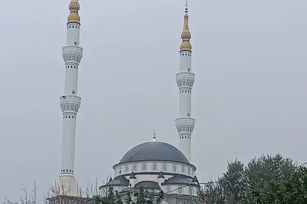 ATA MAHALLESİ TİMURTAŞ PAŞA CAMİİ İNŞAATİ - Resim 6