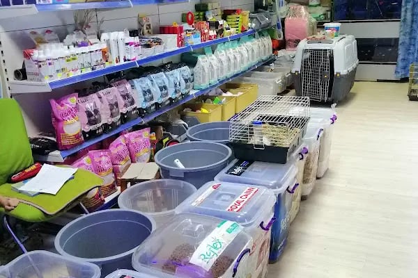 NEŞELİ PATİLER PETSHOP - Resim 17