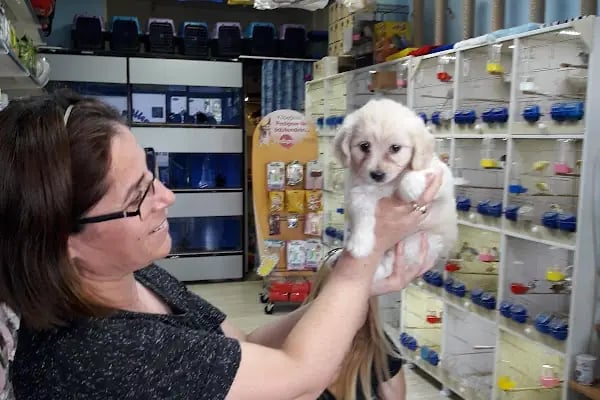 NEŞELİ PATİLER PETSHOP - Resim 2