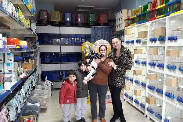 NEŞELİ PATİLER PETSHOP - Resim 13