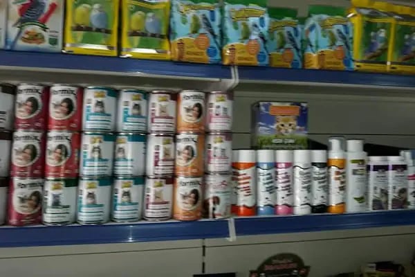 NEŞELİ PATİLER PETSHOP - Resim 20