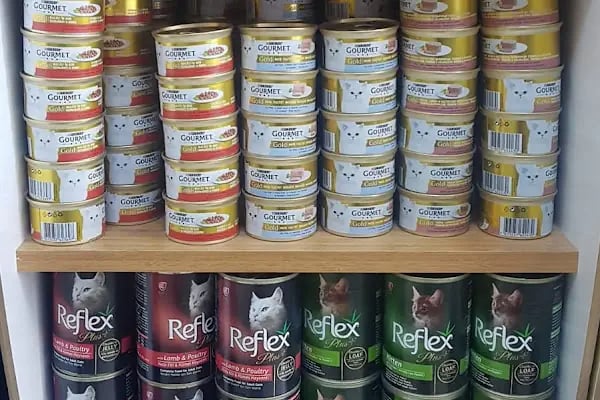 NEŞELİ PATİLER PETSHOP - Resim 16