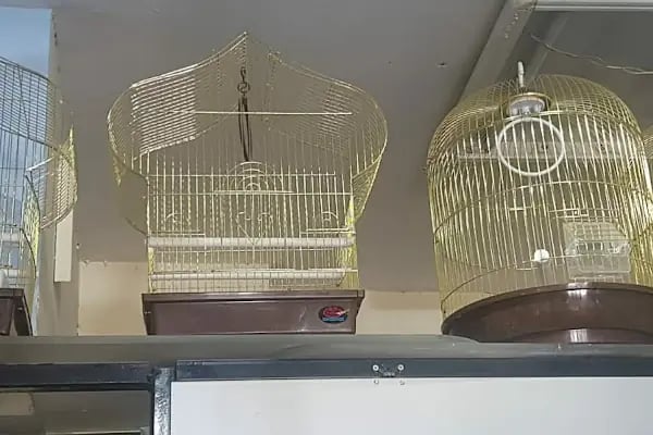 NEŞELİ PATİLER PETSHOP - Resim 9